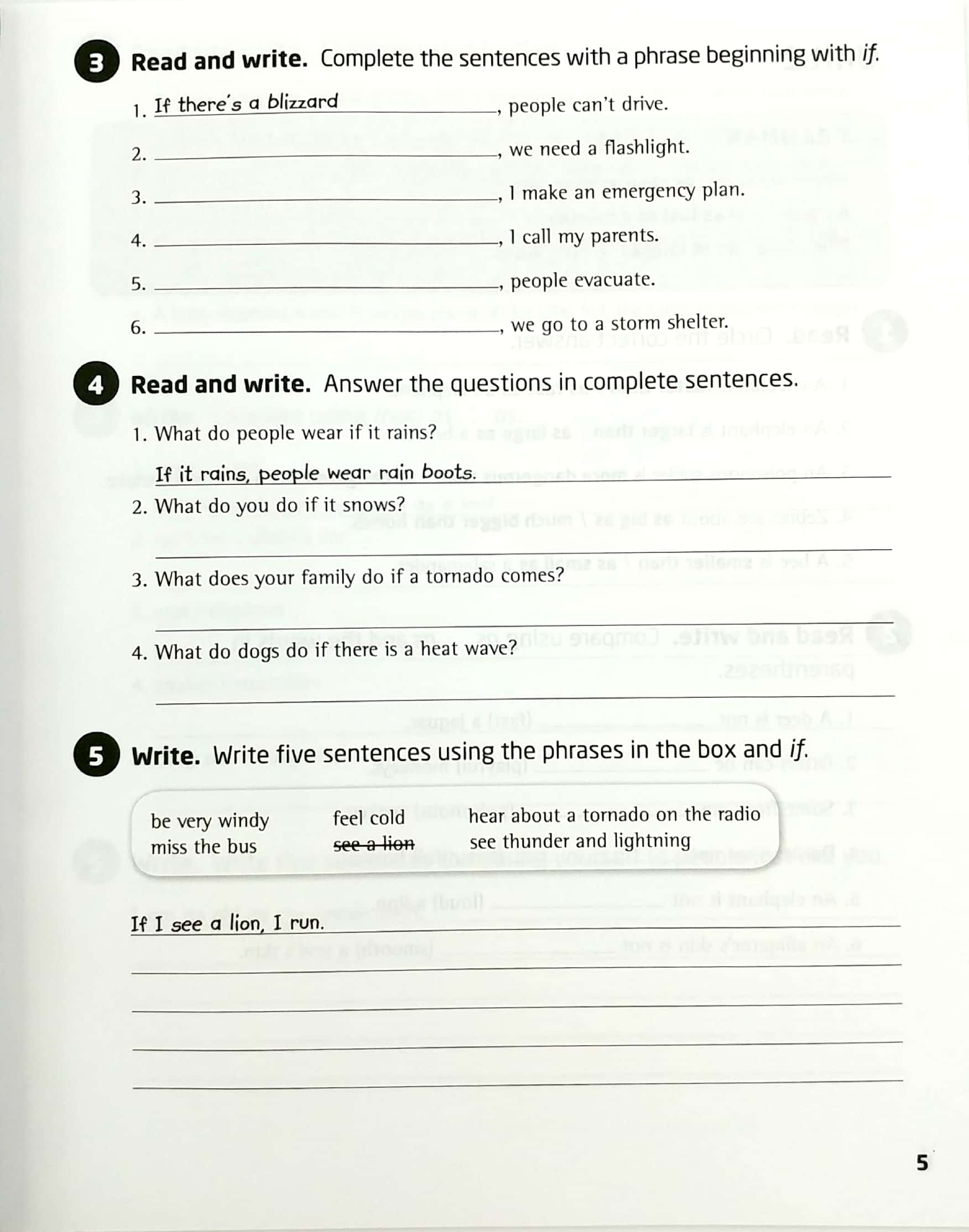 our world ame 5 grammar workbook