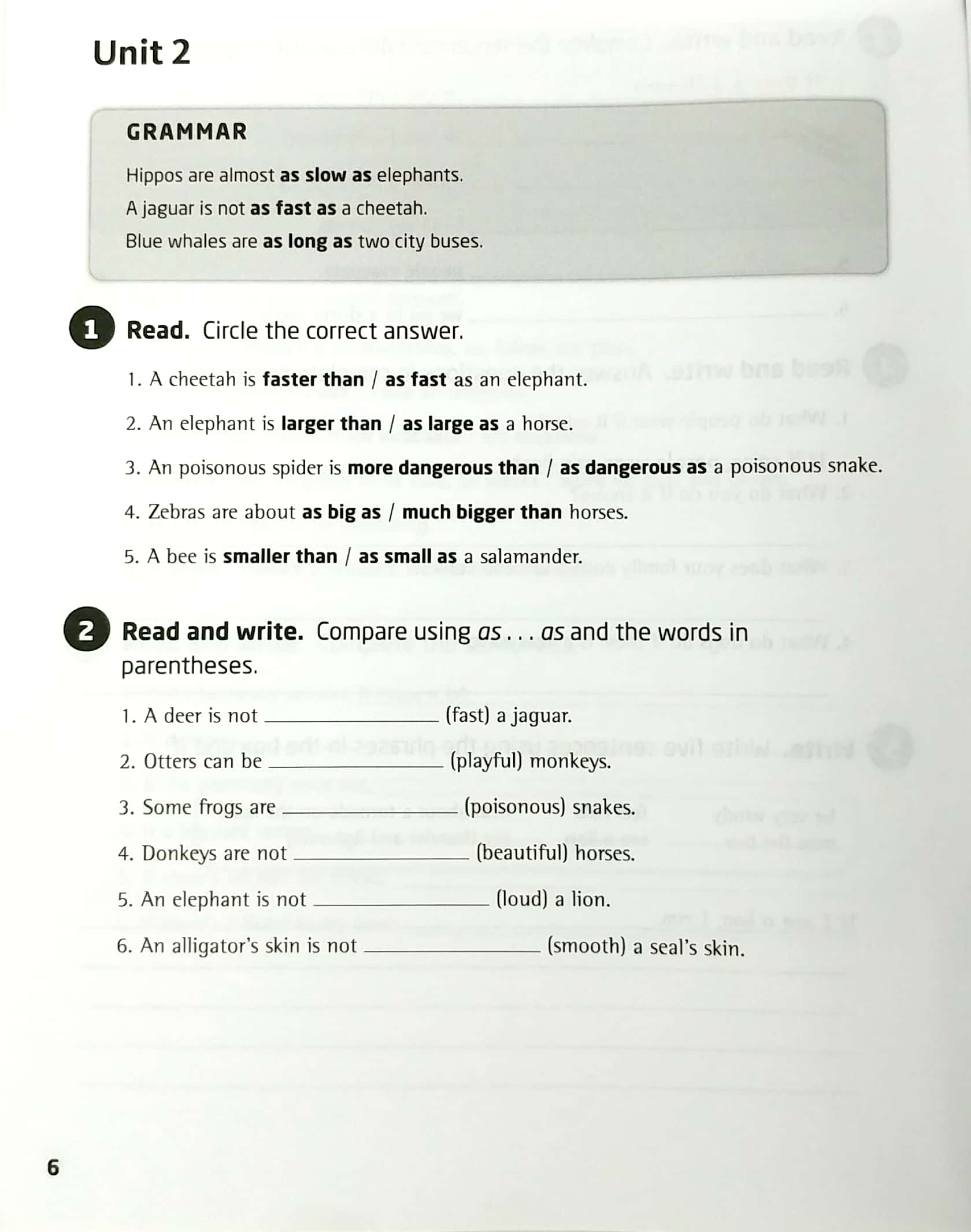 our world ame 5 grammar workbook