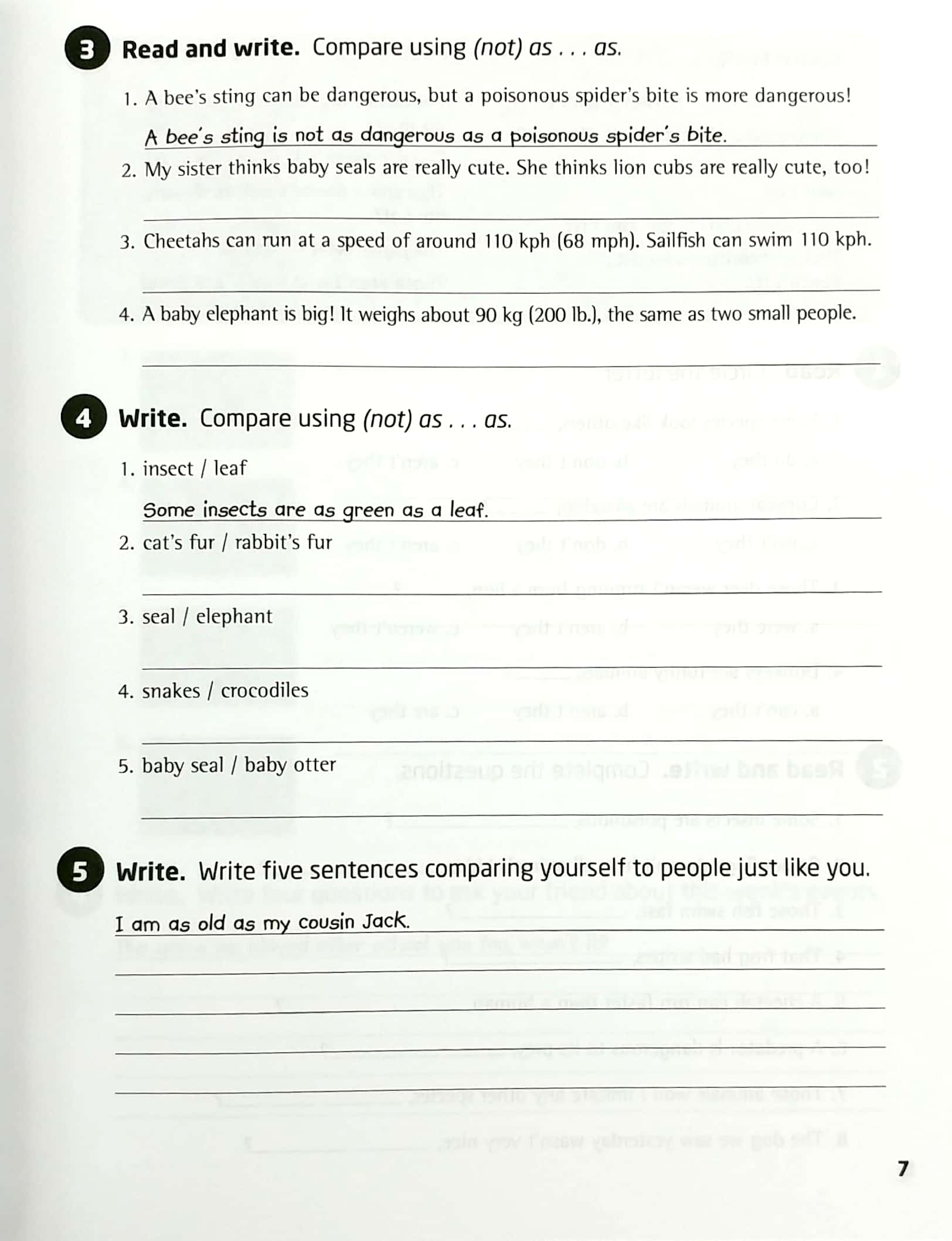 our world ame 5 grammar workbook