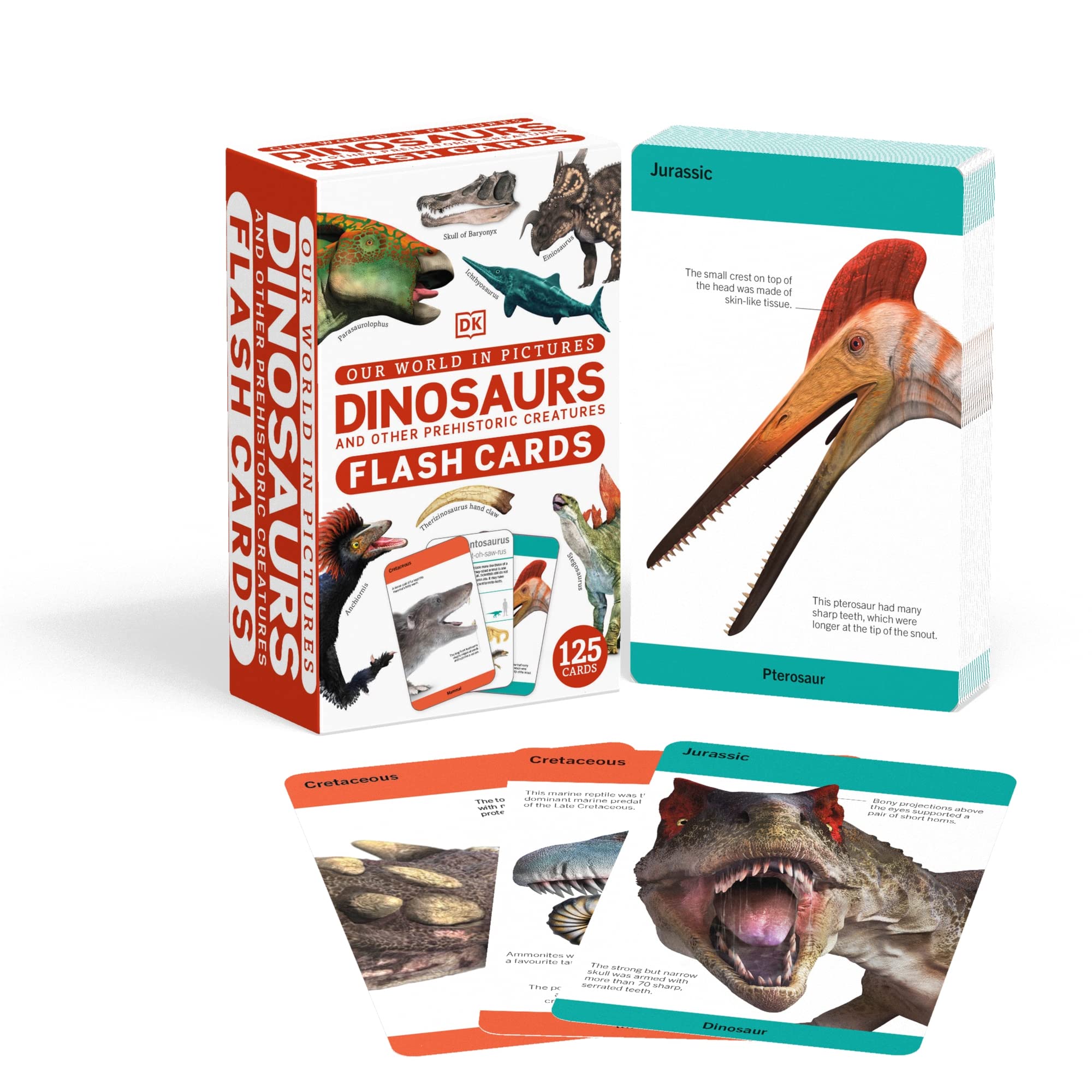 our world in pictures - dinosaurs and other prehistoric creatures flash cards