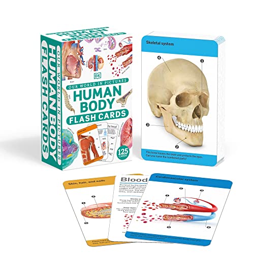 our world in pictures - human body flash cards