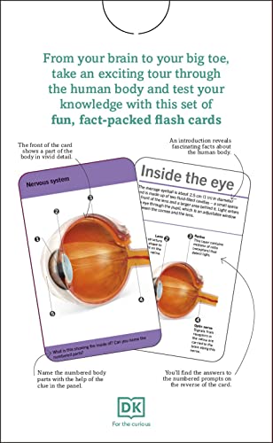 our world in pictures - human body flash cards