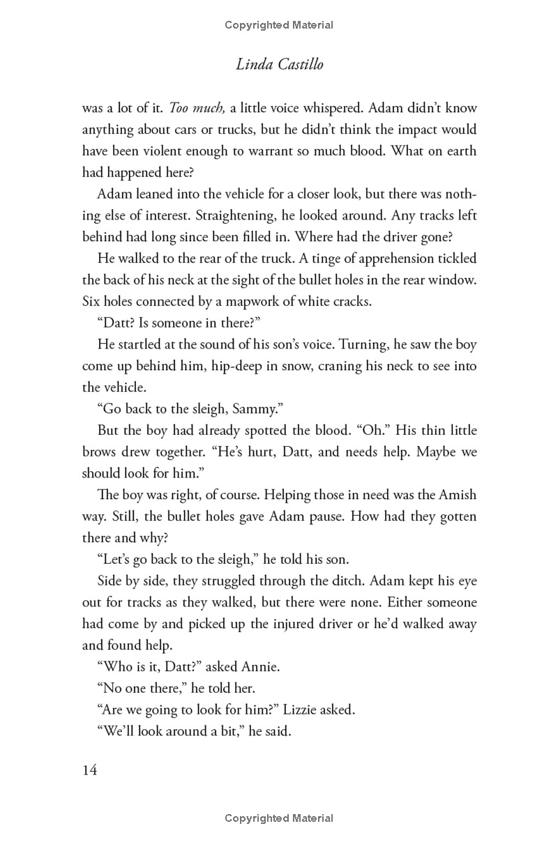 outsider: a novel of suspense