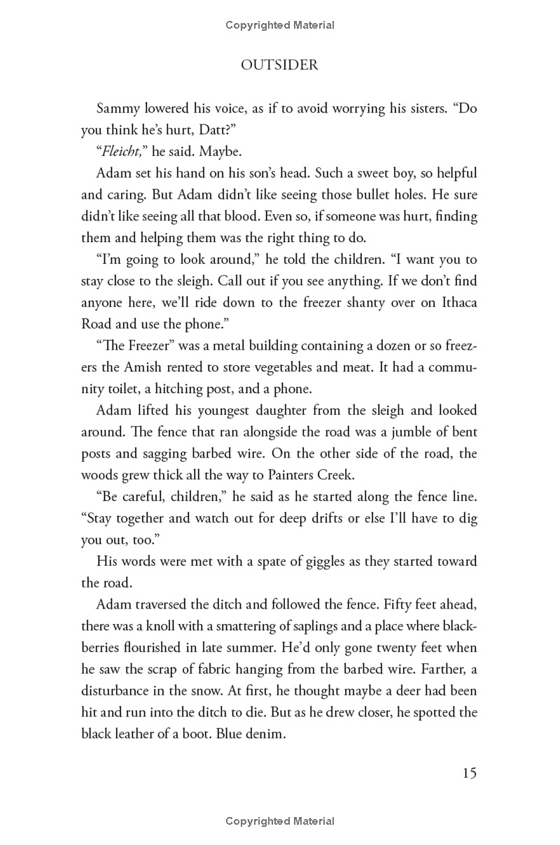 outsider: a novel of suspense