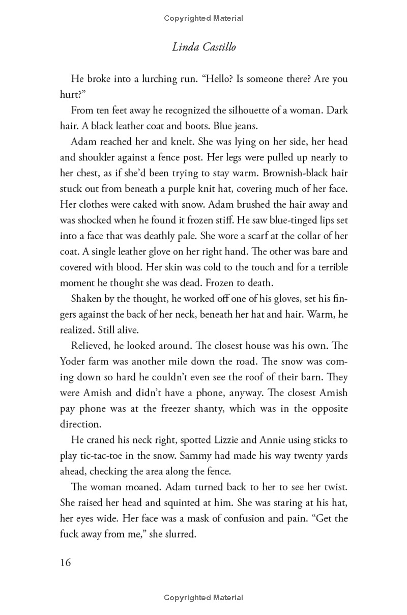 outsider: a novel of suspense