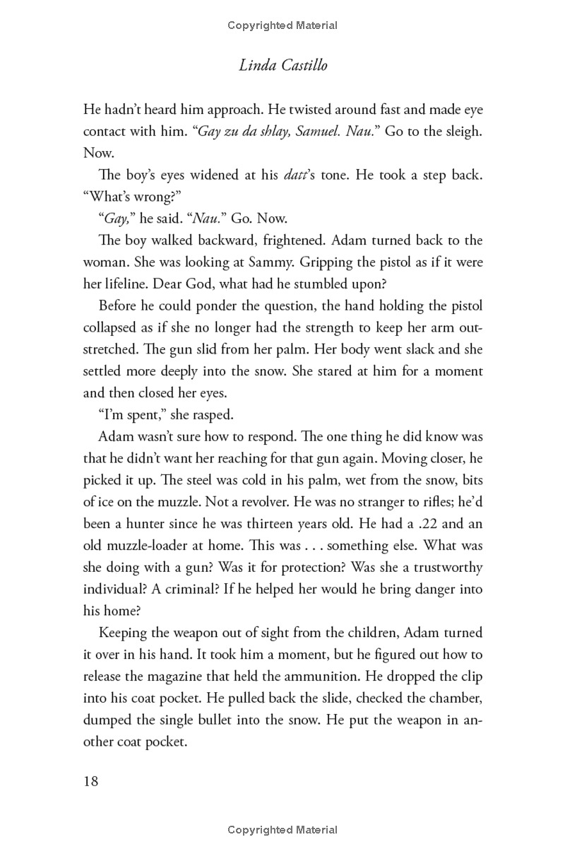 outsider: a novel of suspense