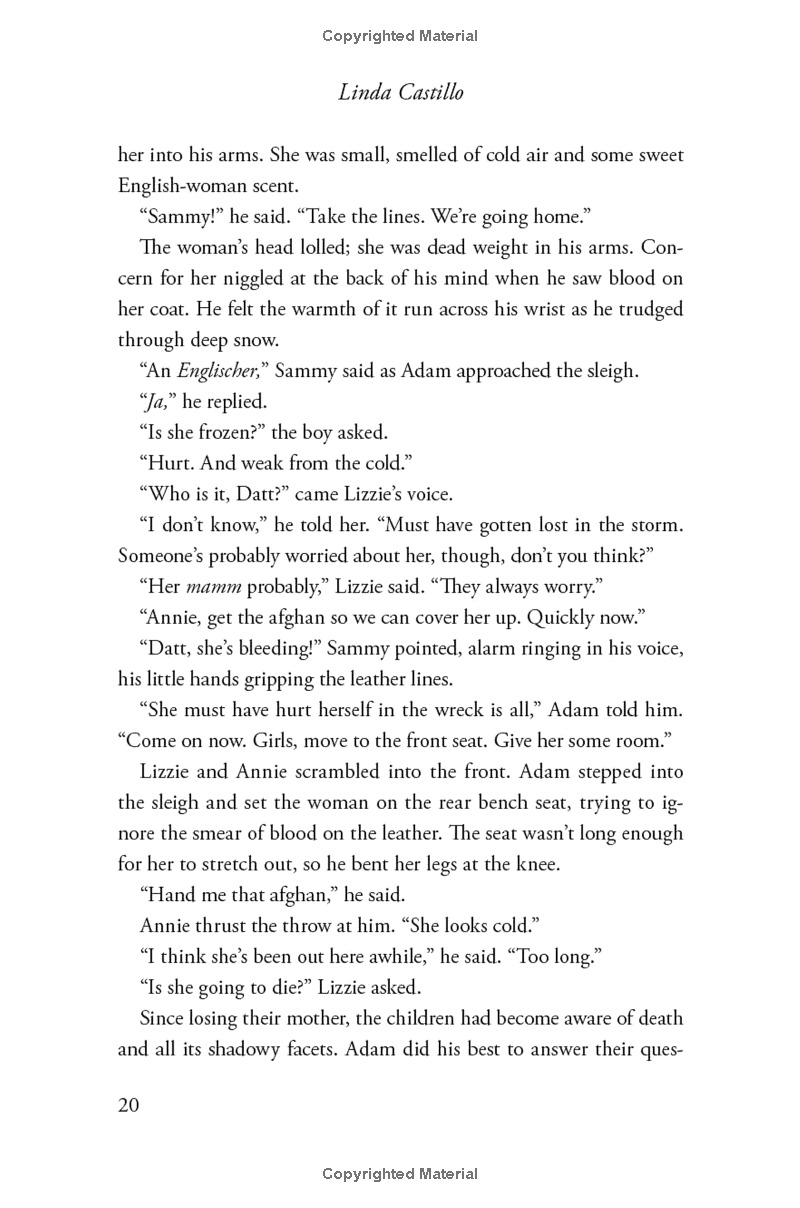 outsider: a novel of suspense