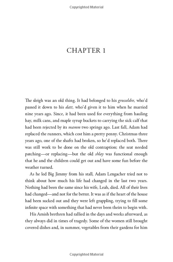 outsider: a novel of suspense