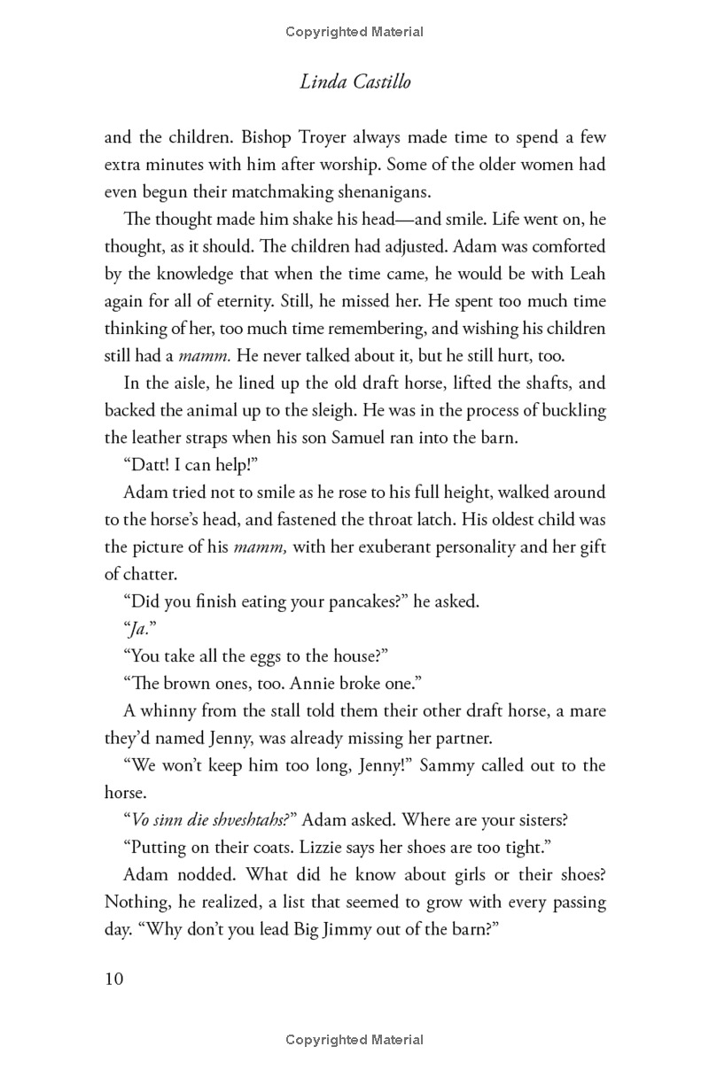 outsider: a novel of suspense