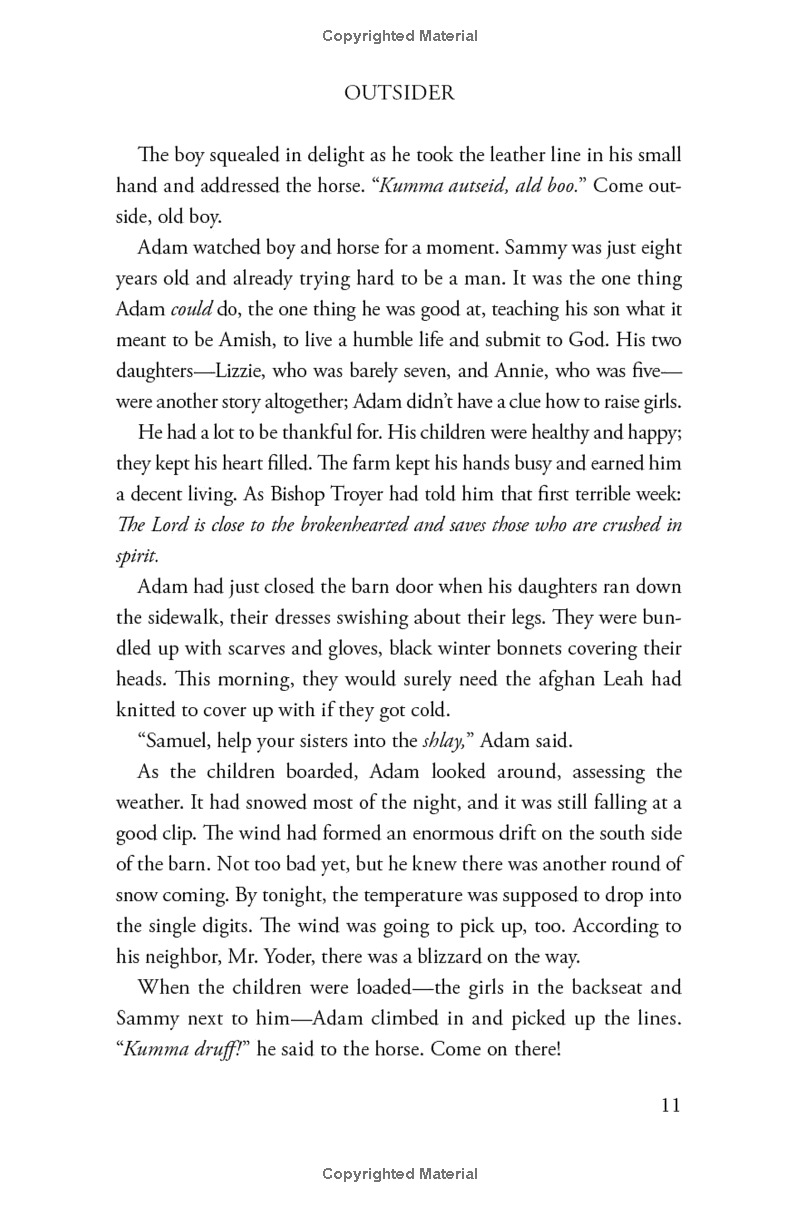 outsider: a novel of suspense