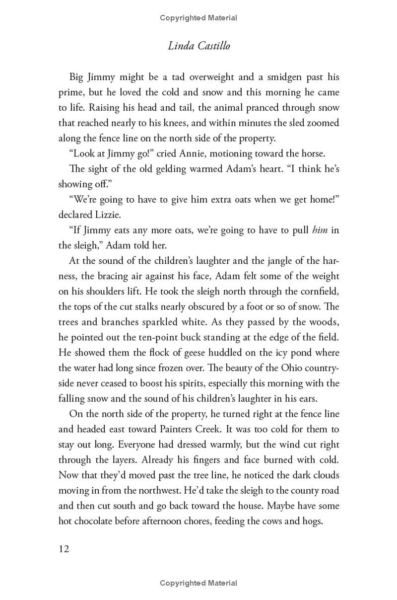 outsider: a novel of suspense