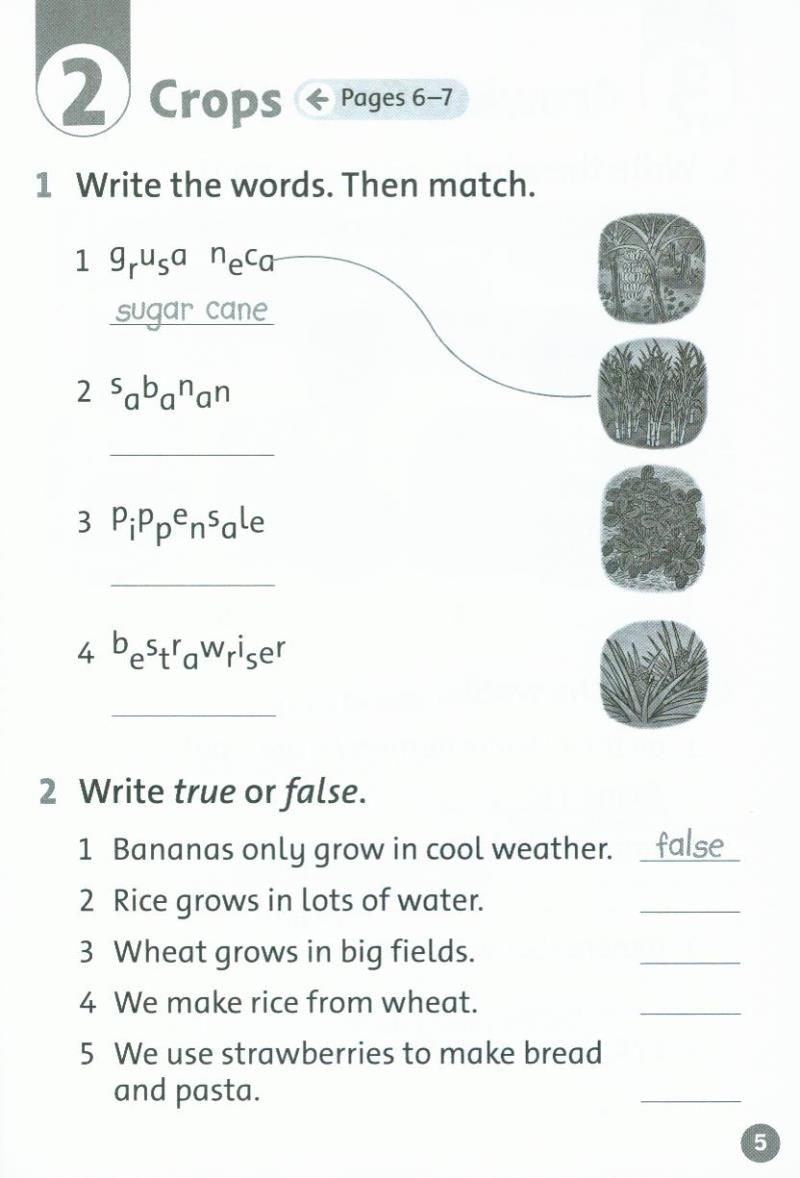 oxford read and discover: level 2: farms activity book