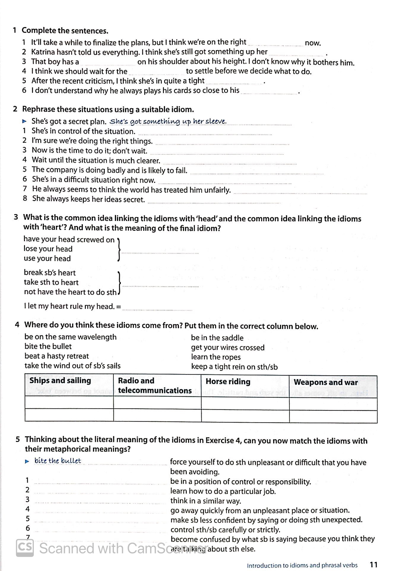 oxford word skills advanced idioms and phrasal verbs