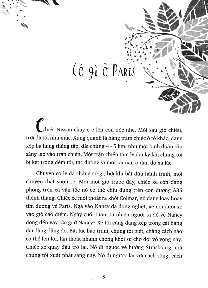 paris trong hộp giày