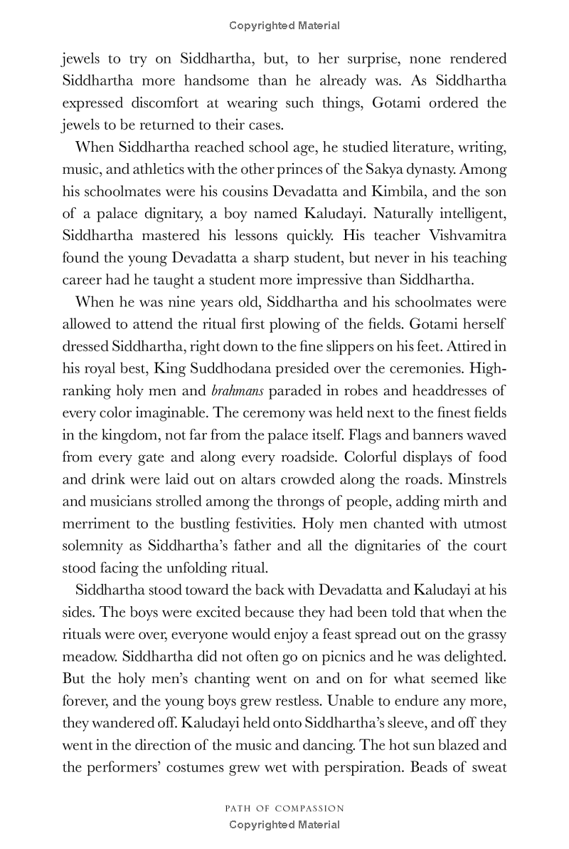 path of compassion : stories from the buddha's life