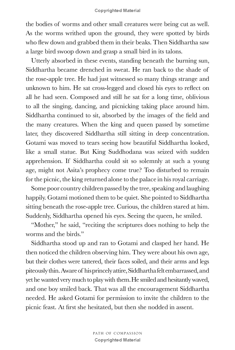 path of compassion : stories from the buddha's life