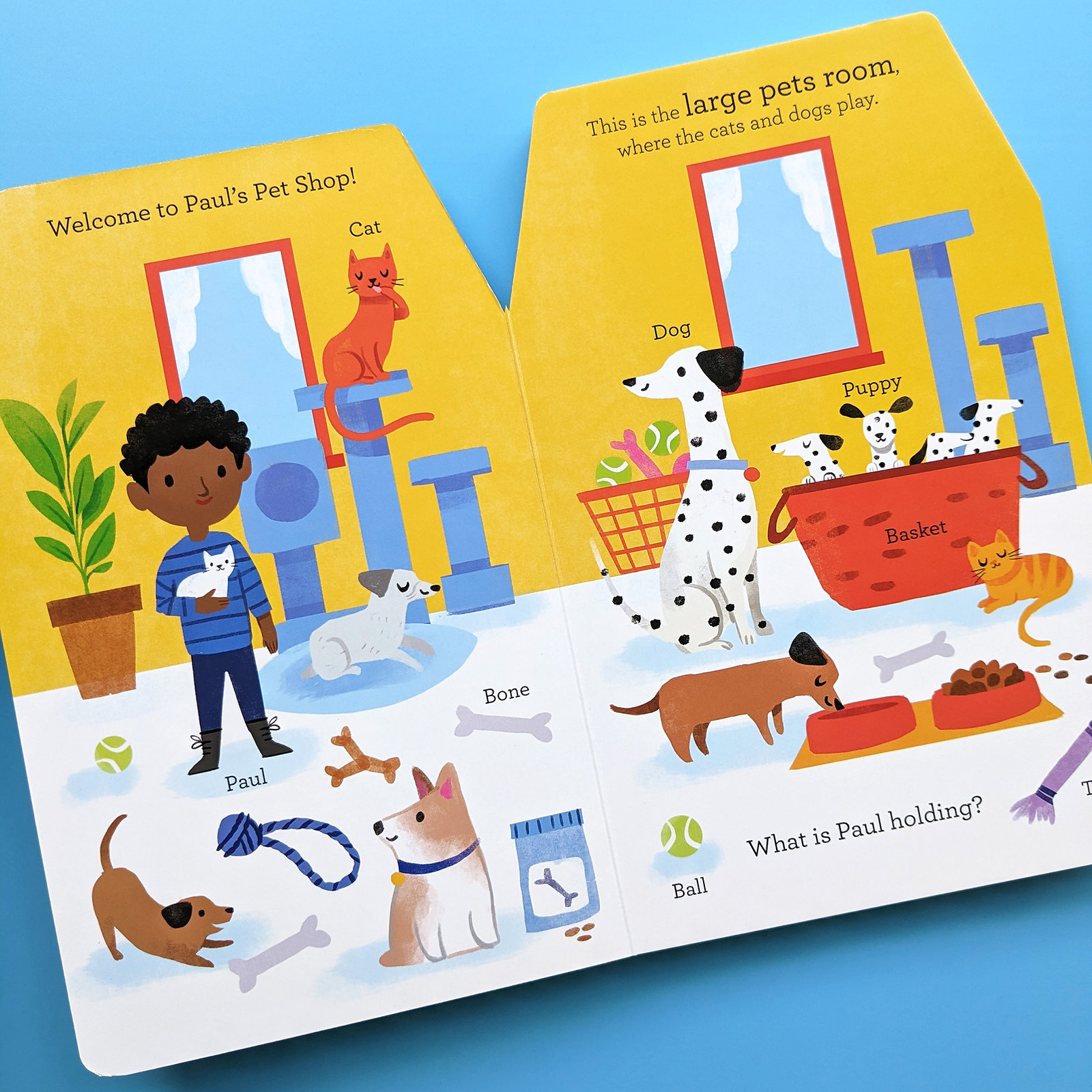 paul's pet shop - little high street books