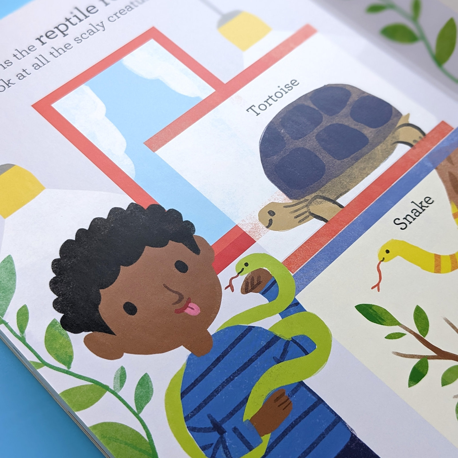 paul's pet shop - little high street books