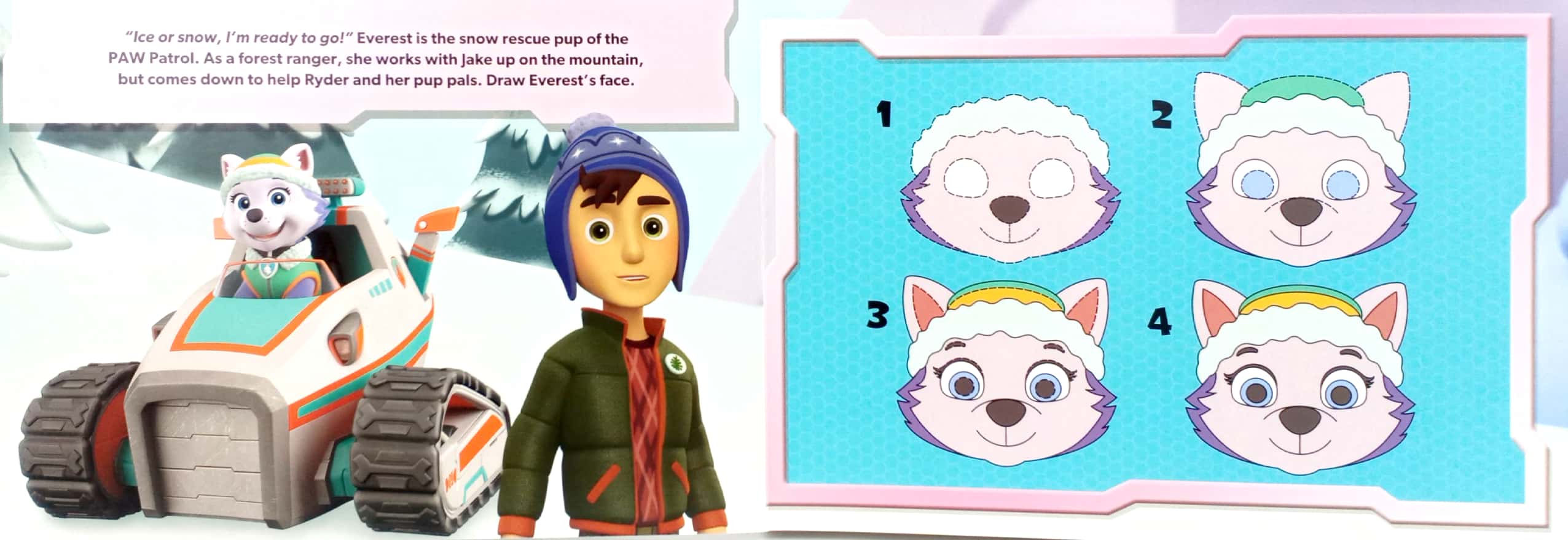 paw patrol girls learning series