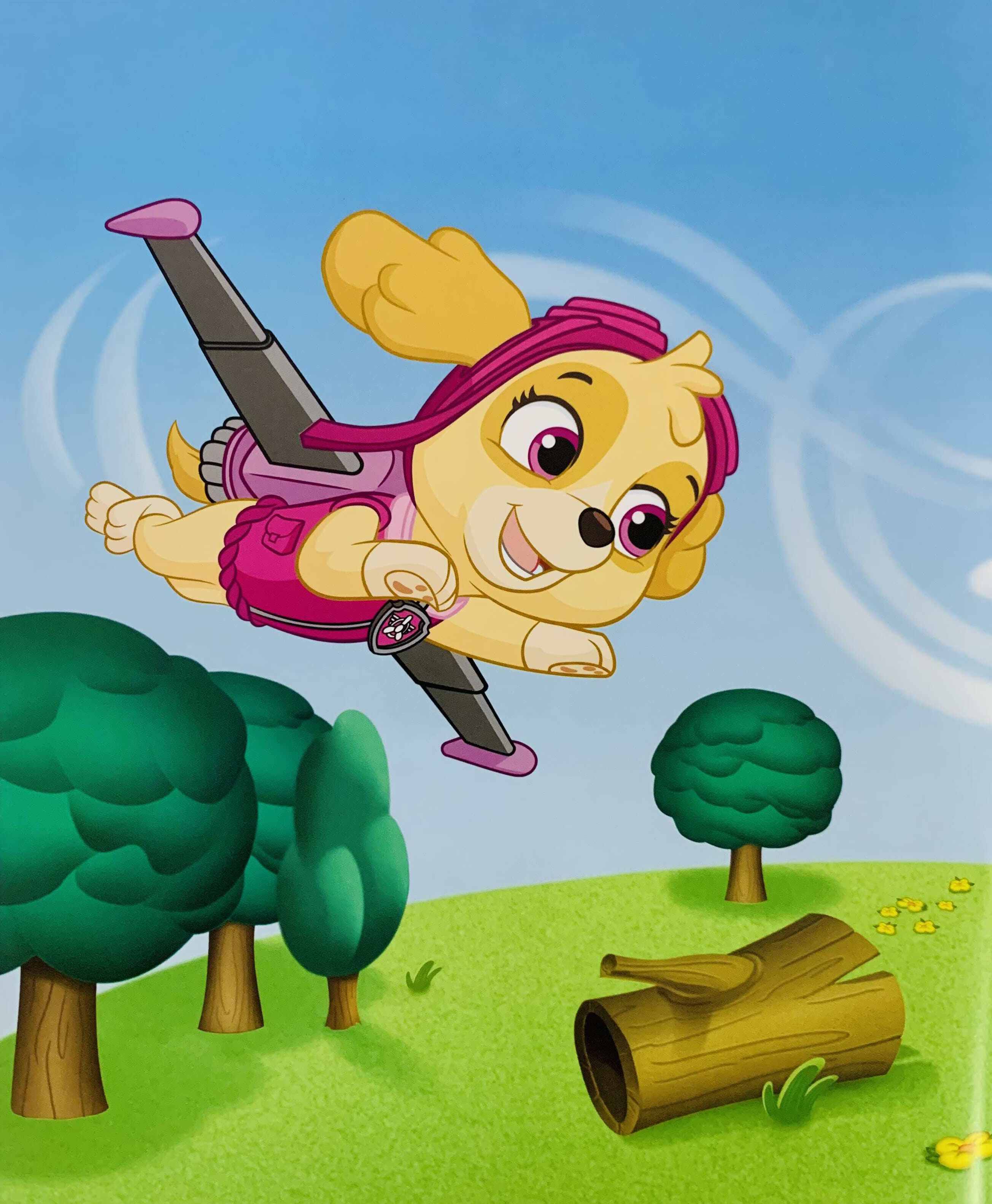 paw patrol high flying skye - storybook with bag tag