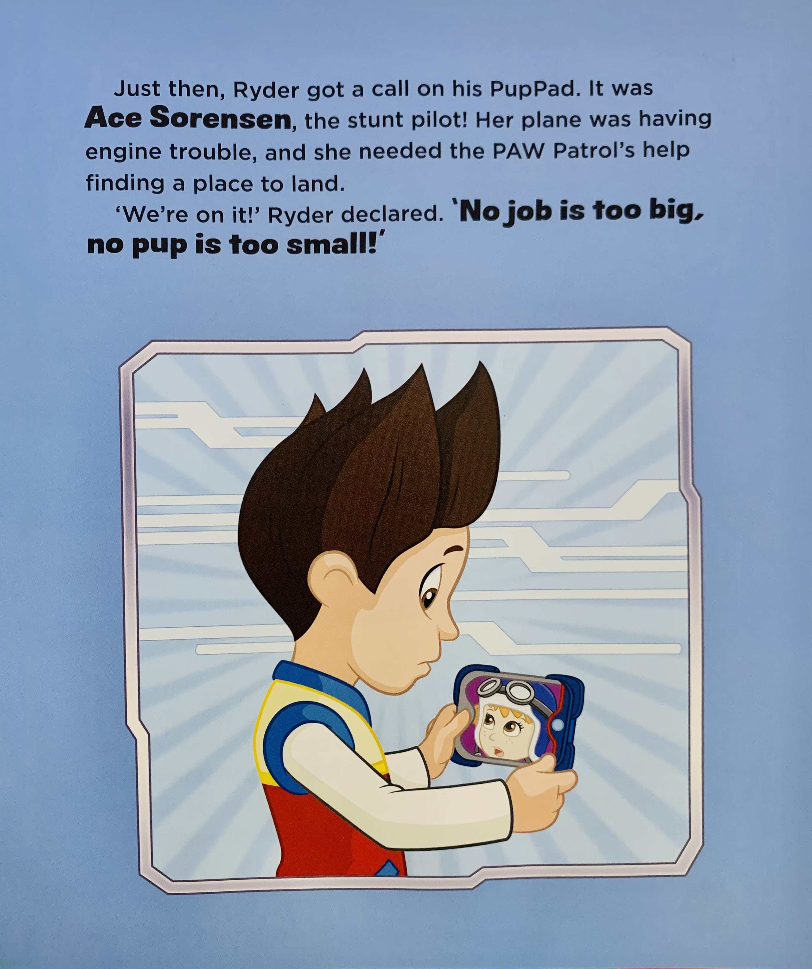 paw patrol high flying skye - storybook with bag tag