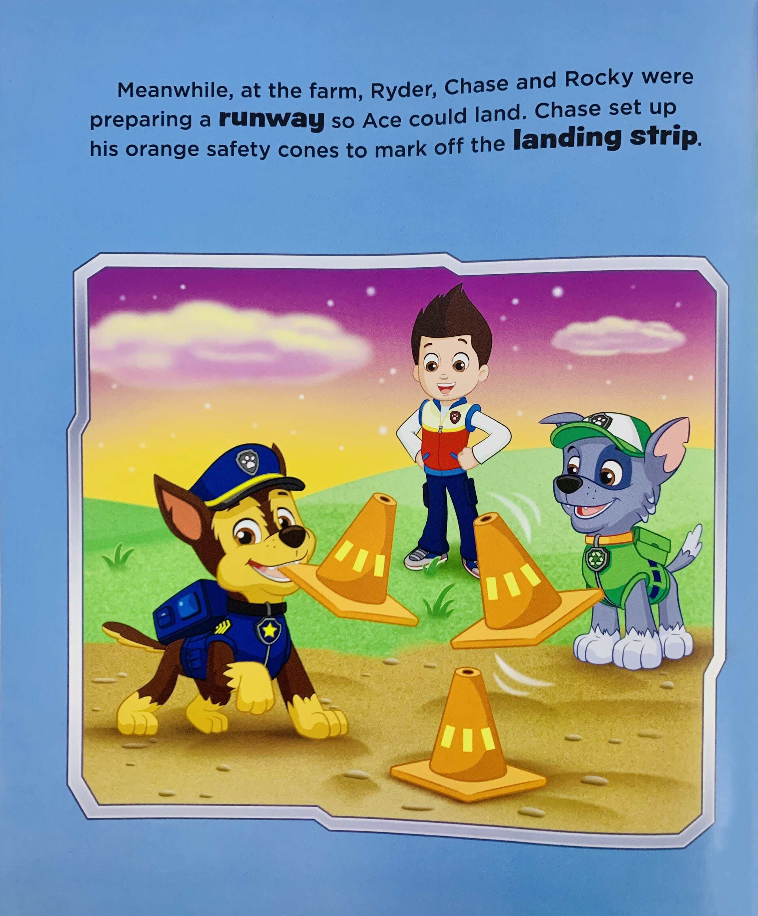 paw patrol high flying skye - storybook with bag tag