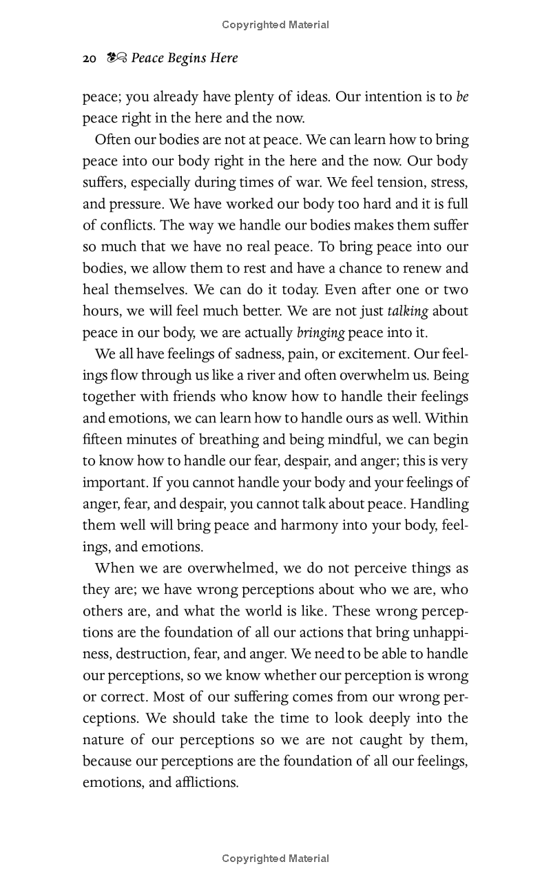 peace begins here: palestinians and israelis listening to each other