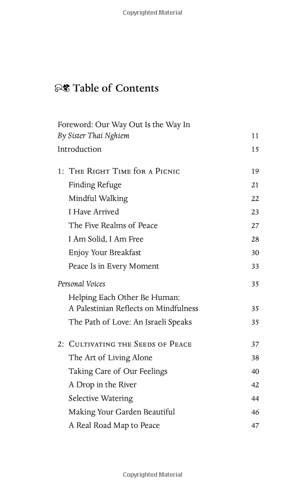 peace begins here: palestinians and israelis listening to each other