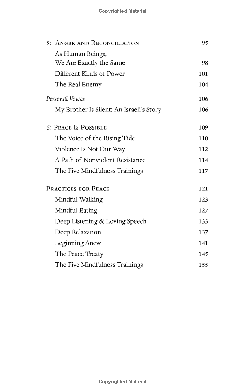 peace begins here: palestinians and israelis listening to each other