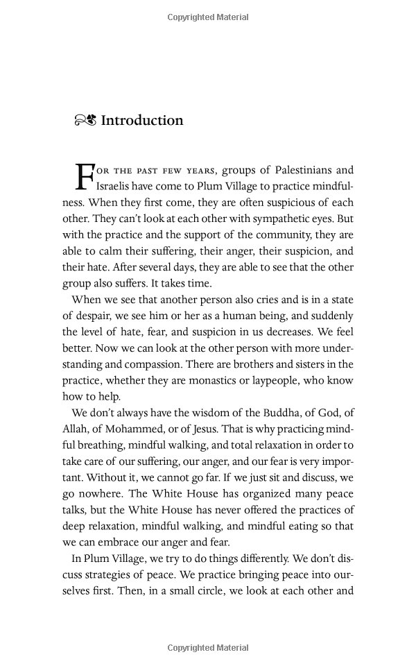 peace begins here: palestinians and israelis listening to each other