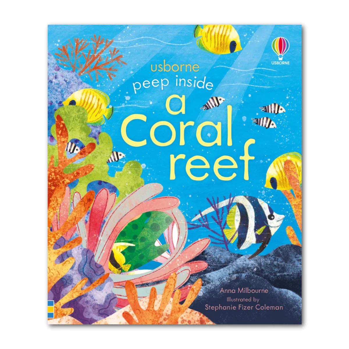 peep inside a coral reef