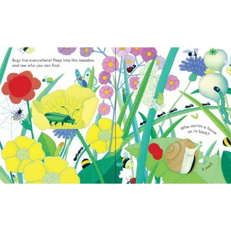 peep inside bug homes