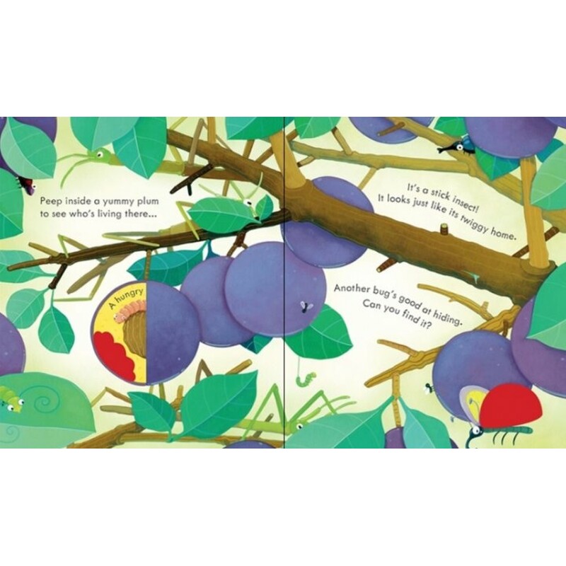 peep inside bug homes