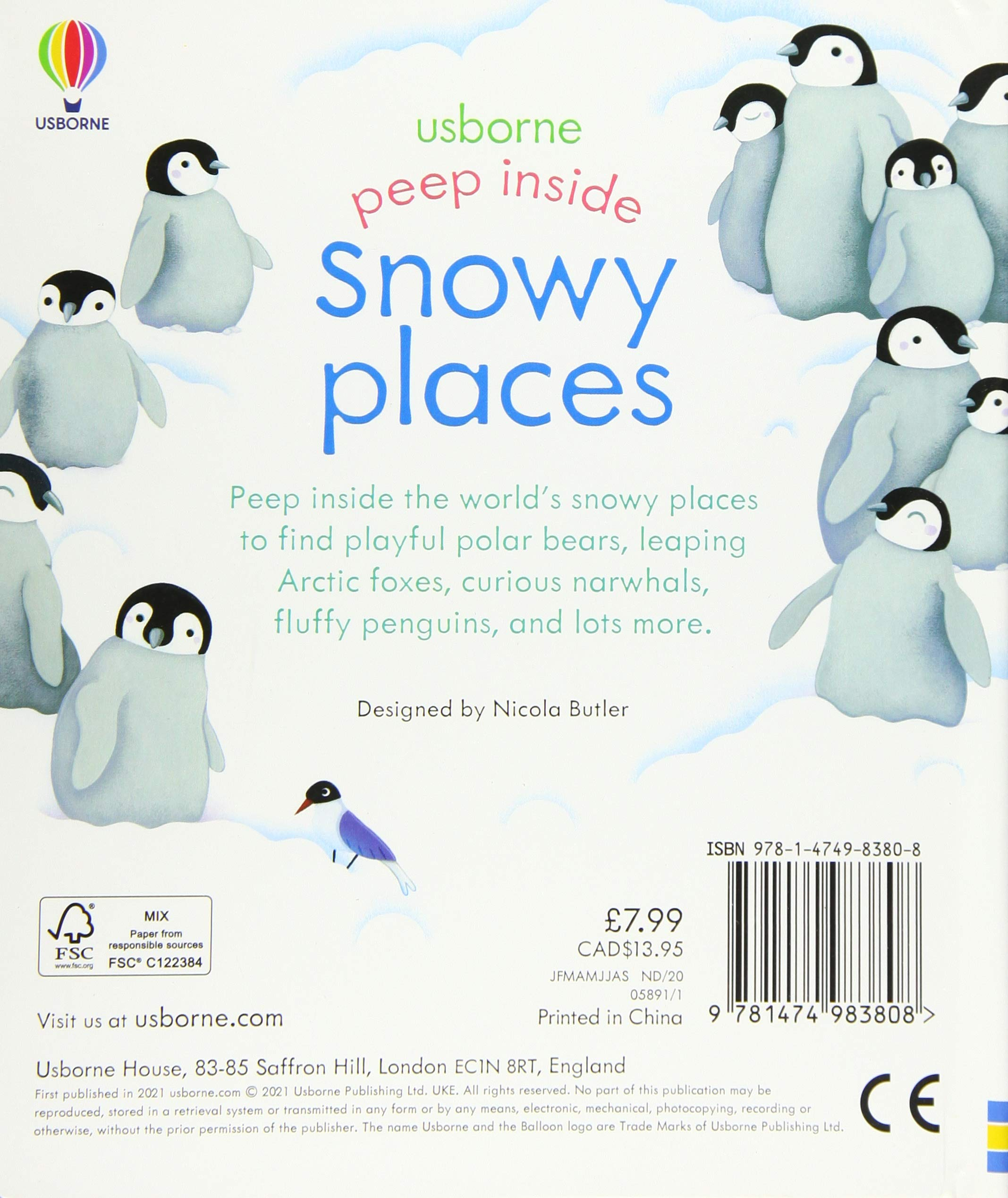 peep inside snowy places