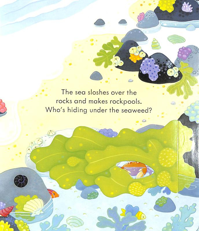 peep inside the seashore