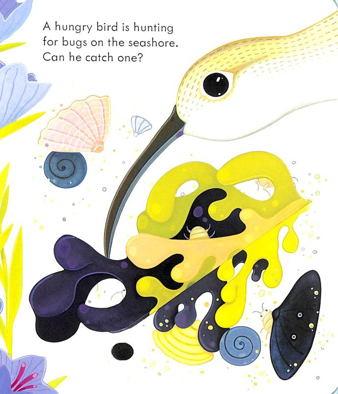 peep inside the seashore