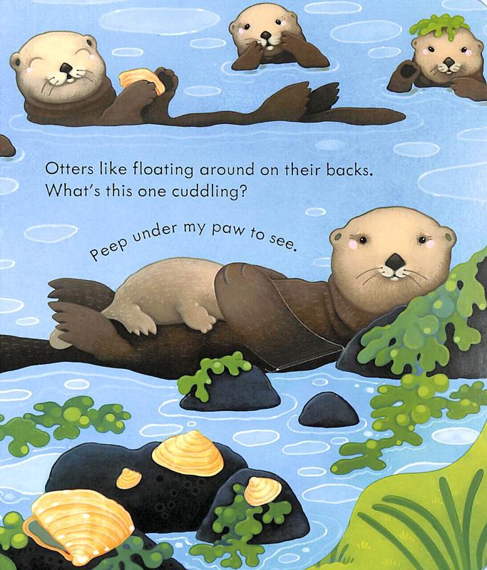 peep inside the seashore