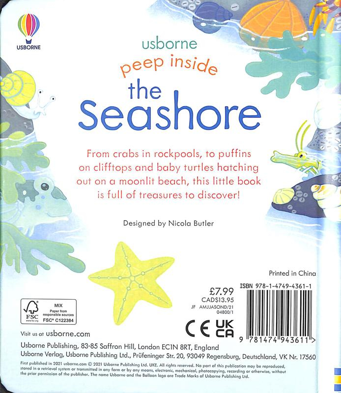peep inside the seashore