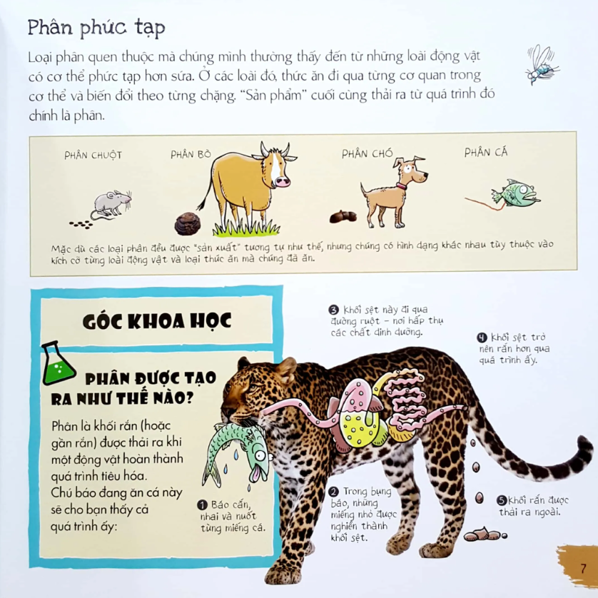 phân của muôn loài