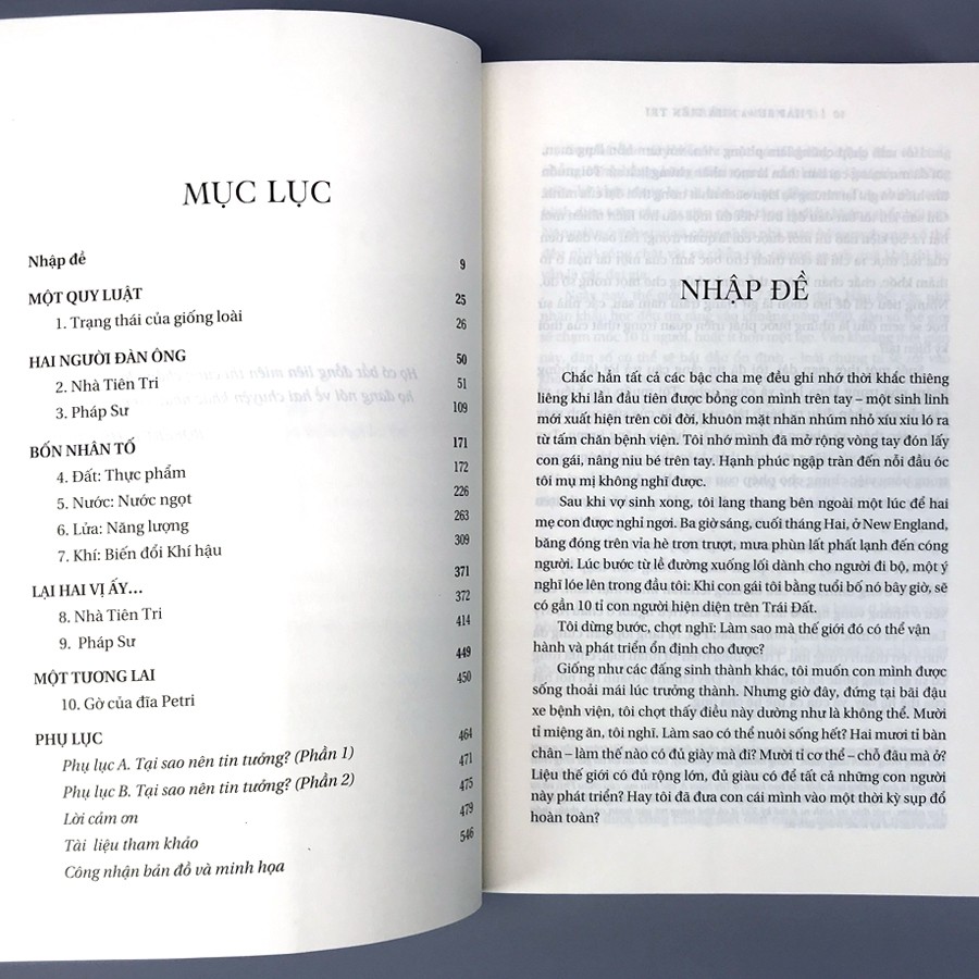 pháp sư và nhà tiên tri