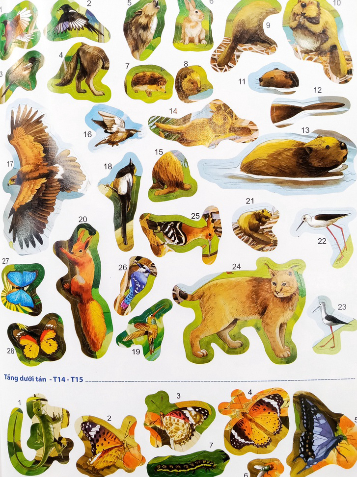 phát triển chỉ số iq-eq-cq - 291 sticker thế giới động vật