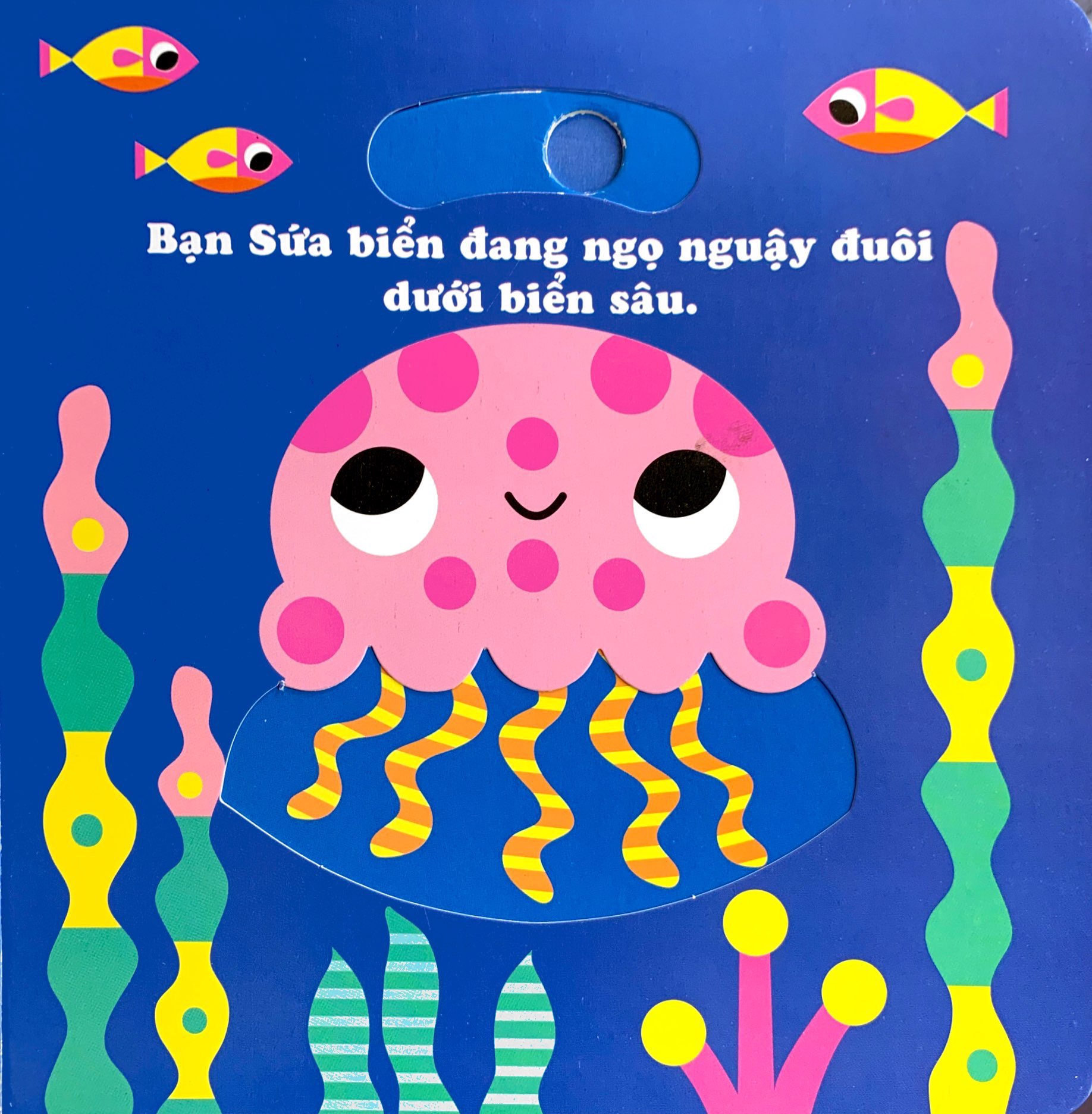 phát triển kĩ năng cho bé - chuyển động vui vẻ - những nhà thám hiểm nhỏ