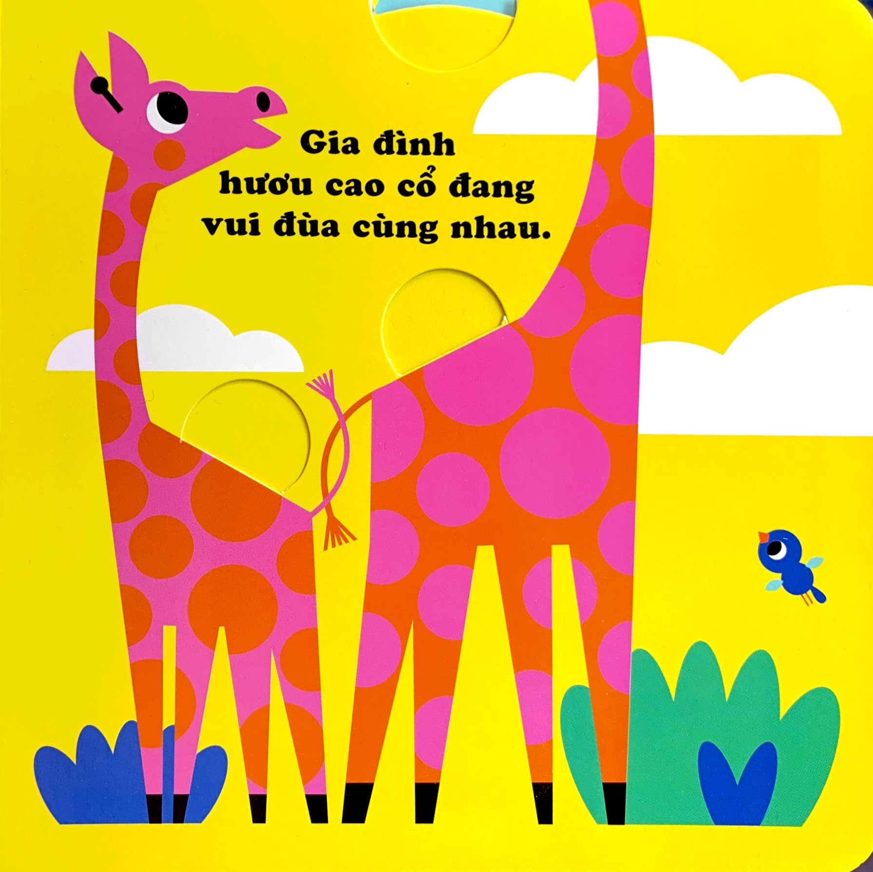 phát triển kĩ năng cho bé - chuyển động vui vẻ - những nhà thám hiểm nhỏ