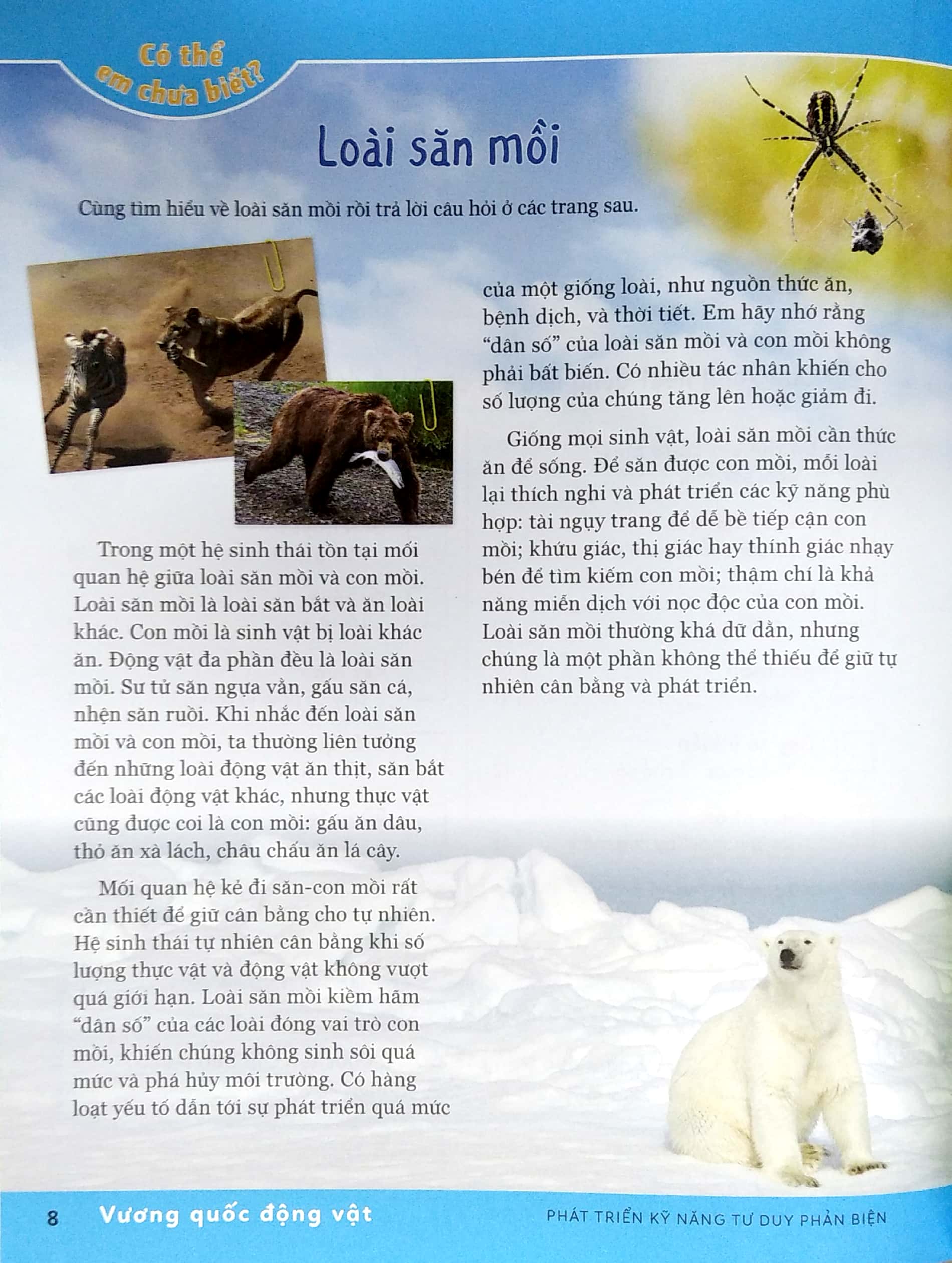 phát triển kỹ năng tư duy phản biện - lớp 5 nâng cao