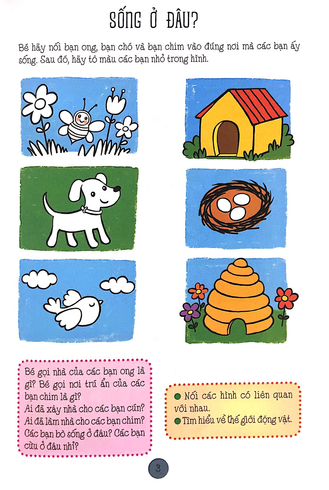 phát triển sáng tạo cq - bé tinh mắt vẽ tài