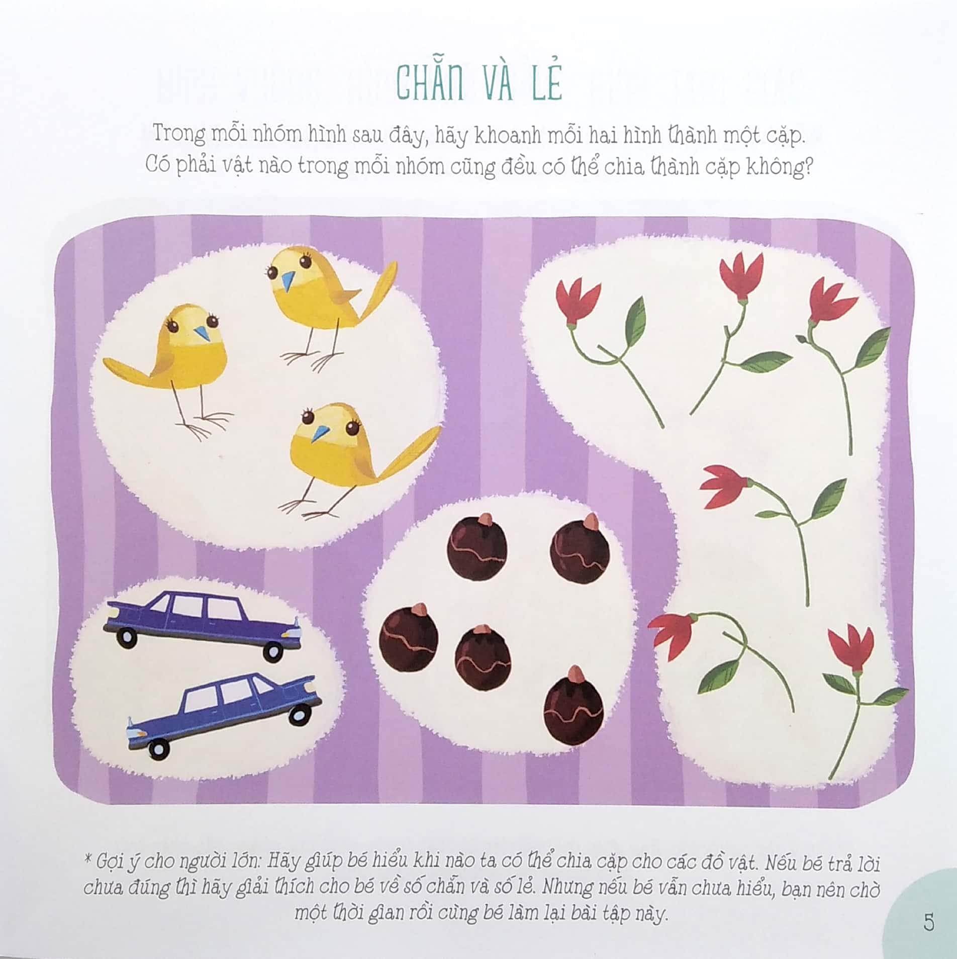 phát triển toàn diện giác quan iq - toán học vui