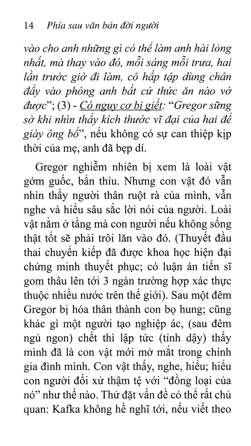 phía sau văn bản đời người