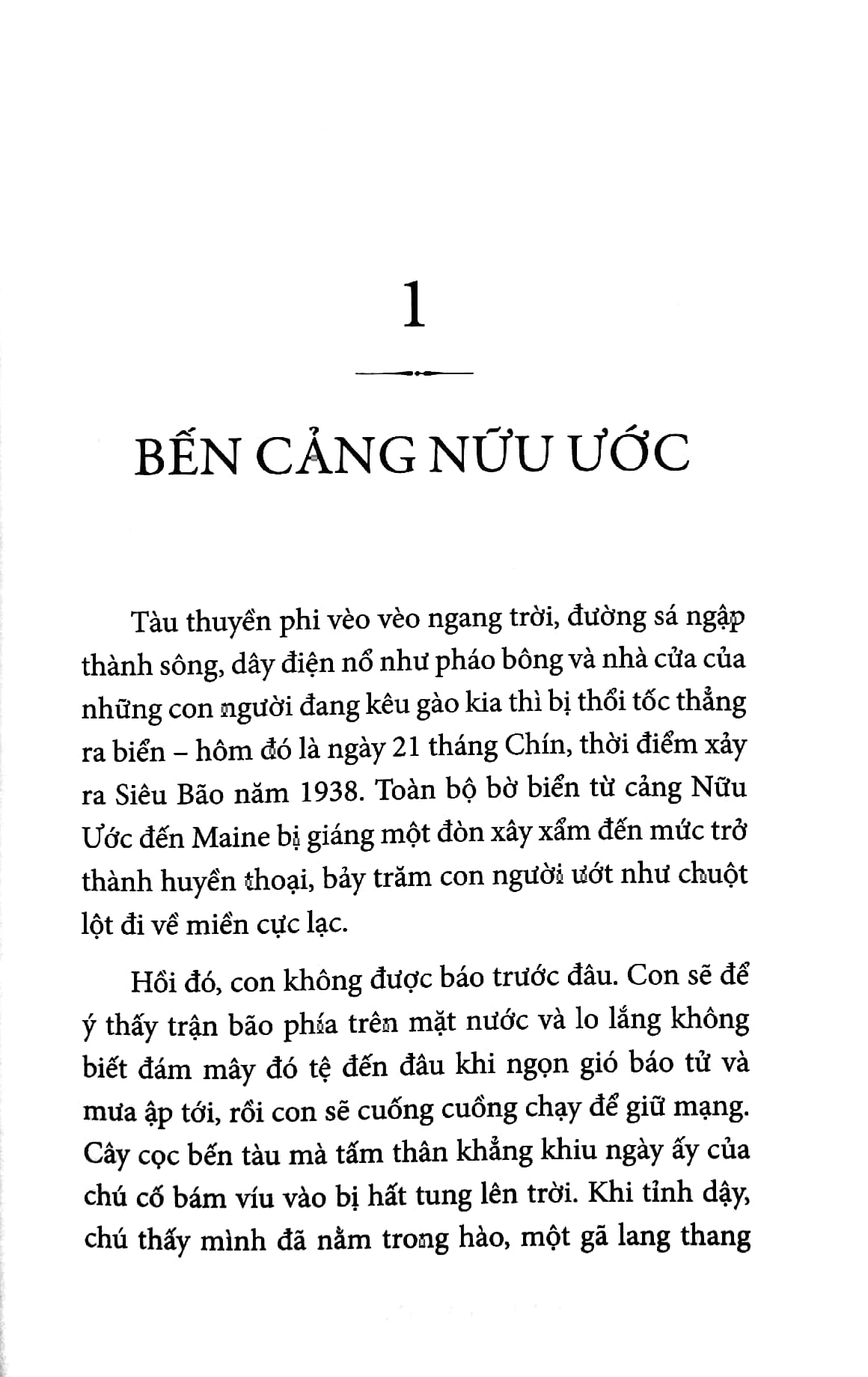 phía tây có đàn hươu cao cổ - west with giraffes