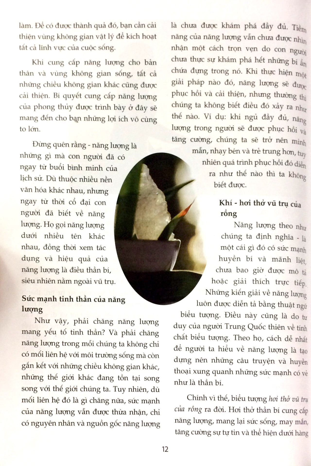 phong thủy - đem lại sức sống cho bạn