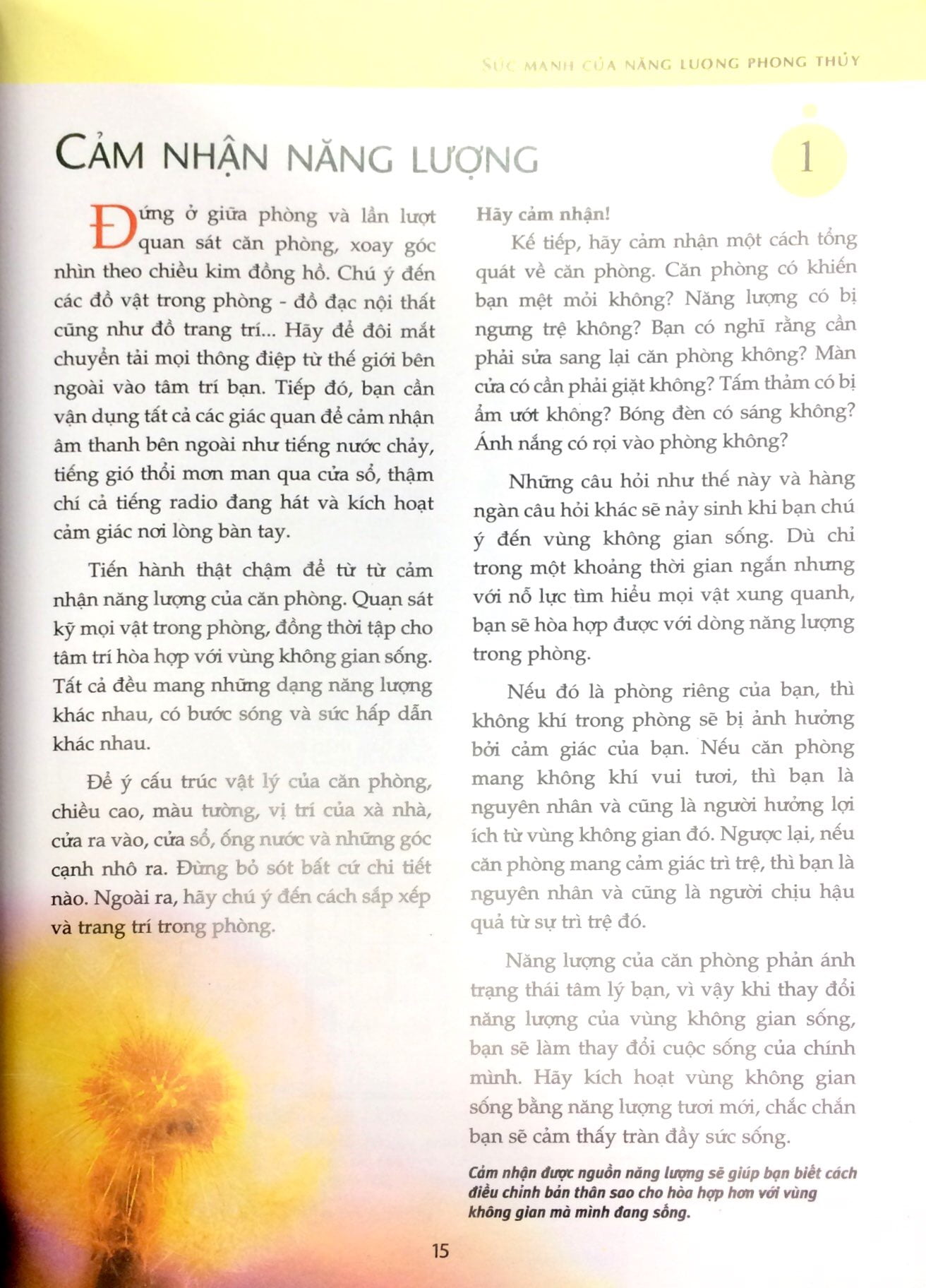 phong thủy - đem lại sức sống cho bạn